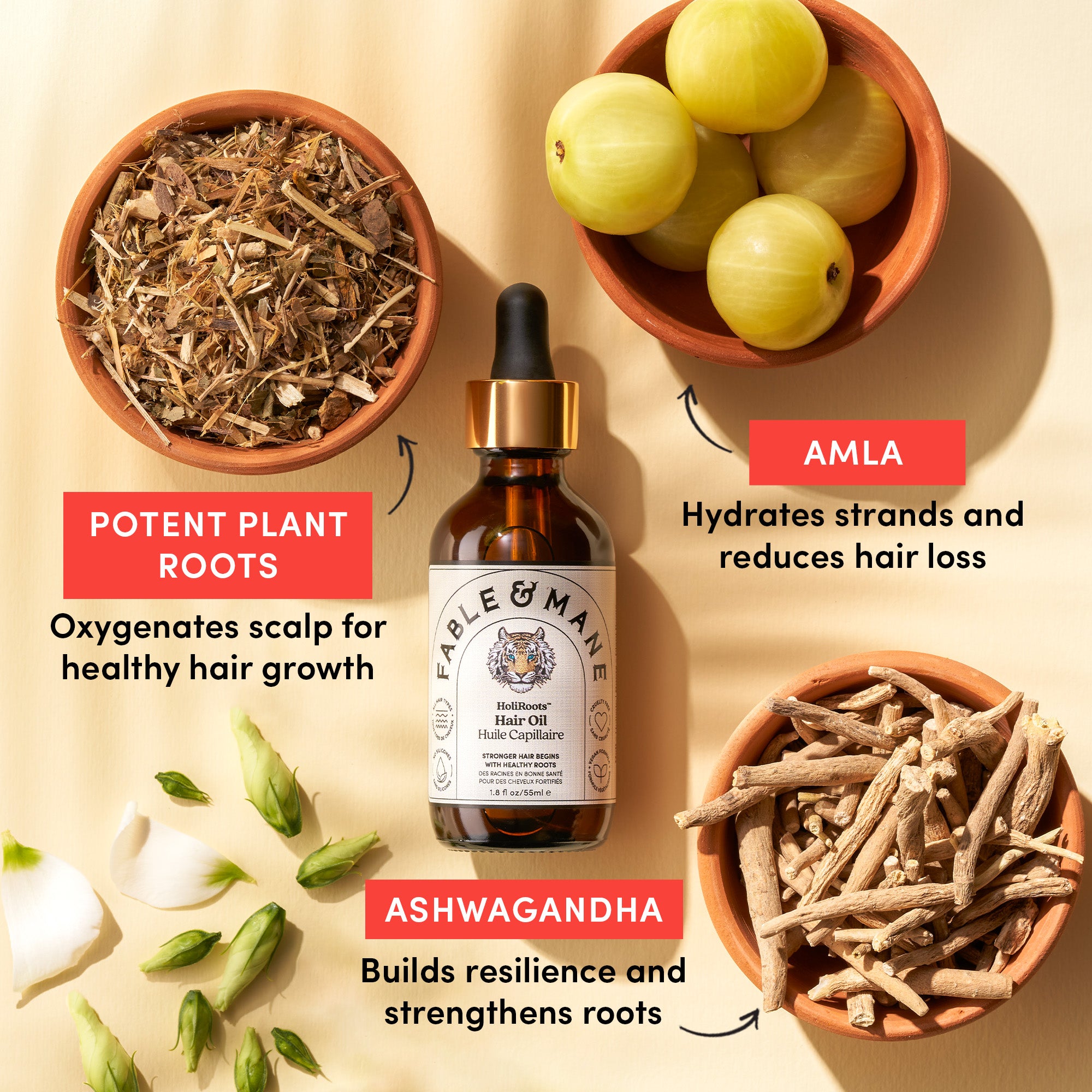 Ashwagandha Benefits for Hair: What Are They? | Care/of