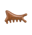 Wooden Scalp Gua Sha
