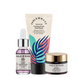 Mini Scalp Reset Kit